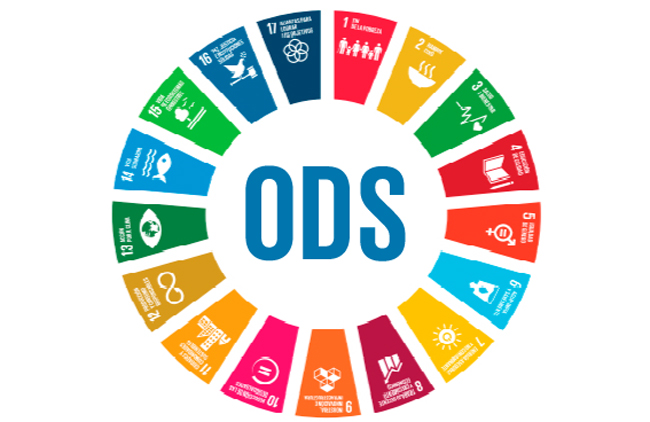 ods-1