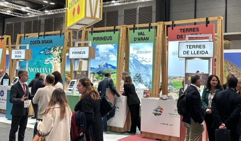 fitur-aralleida